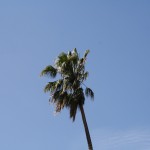 IMG_6588