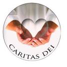 Caritas Dei de Montelavar assinala 1.º aniversário com festa nos dias 8 e 9 de Julho