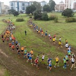 Corta Mato Cidade de Amora